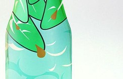 旧瓶子玩出新花样 一些手绘瓶子图片欣赏
