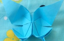 儿童学折纸 教你用彩纸折叠漂亮美丽的凤尾蝶(3)