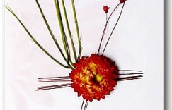 干花贺卡DIY手工制作作品欣赏