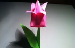 鲜花折纸其他鲜花折纸折纸郁金香