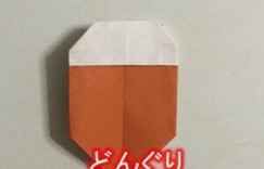 非洲菊