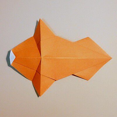 简单易学的儿童折纸教程大全之(野猪)