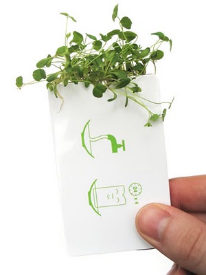 植物名片创意设计作品 会长植物的名片插图